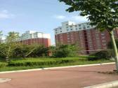 小区图