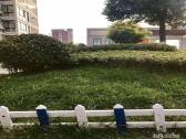 小区图