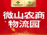 其它图