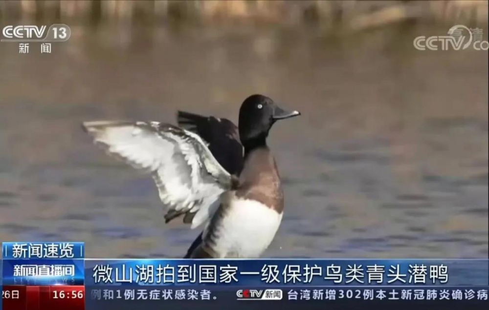 微信图片_20210607141242.jpg