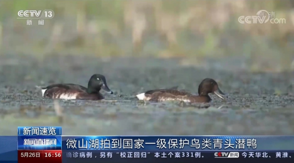 微信图片_20210607141256.png